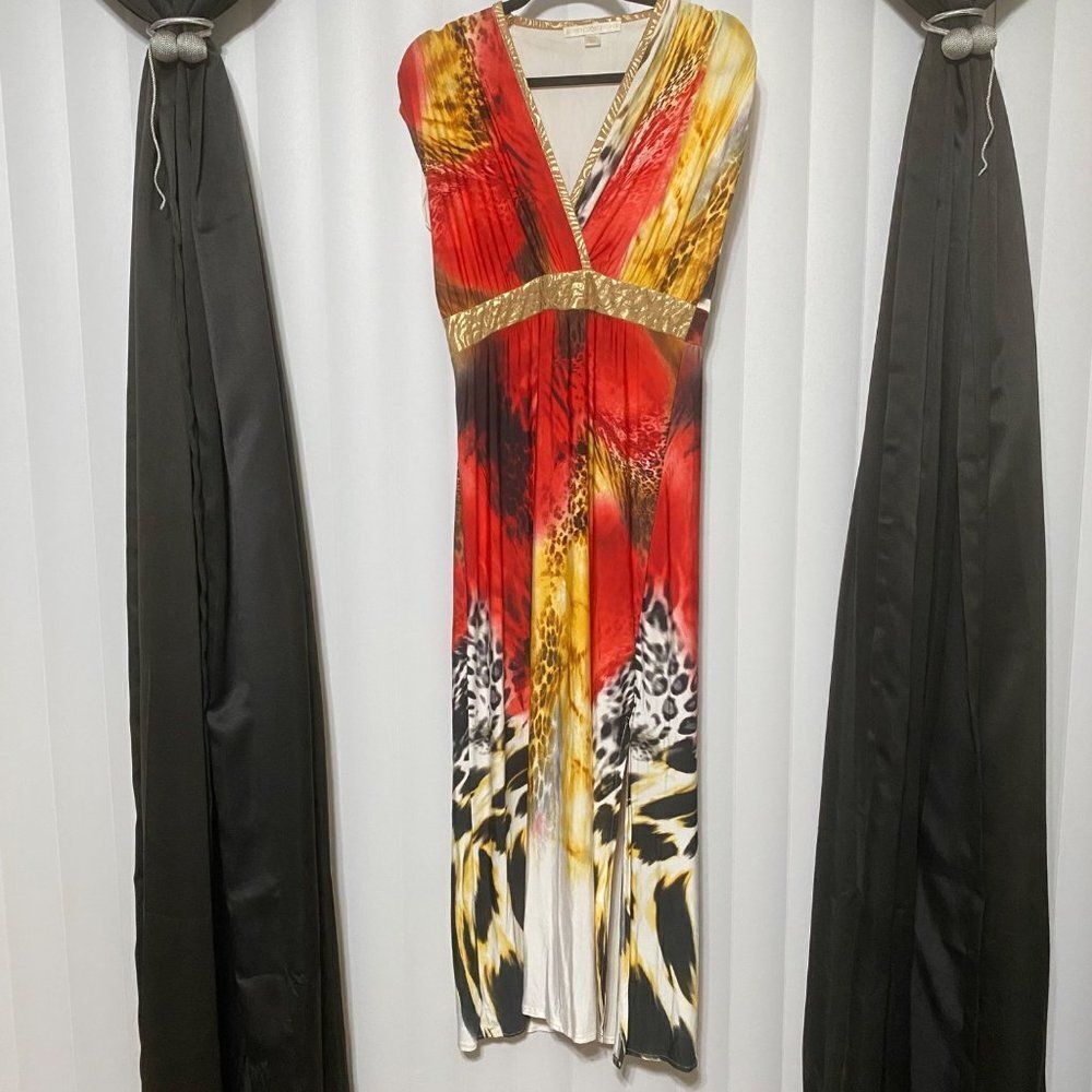 Boston proper vneck animal print maxi dress